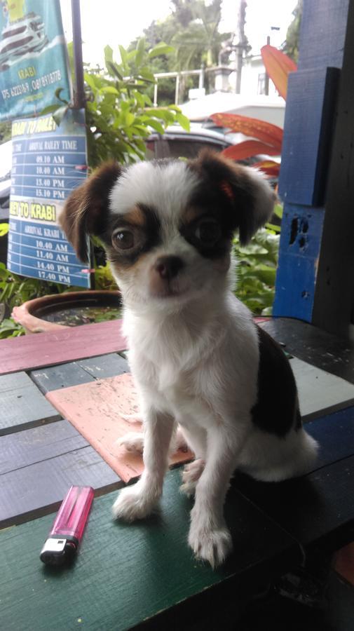 Mr. Clean * Krabi